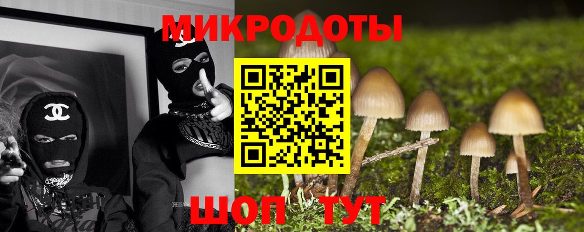 Сосновый Бор  Псилоцибиновые грибы Psilocybine cubensis  Вход с VPN 