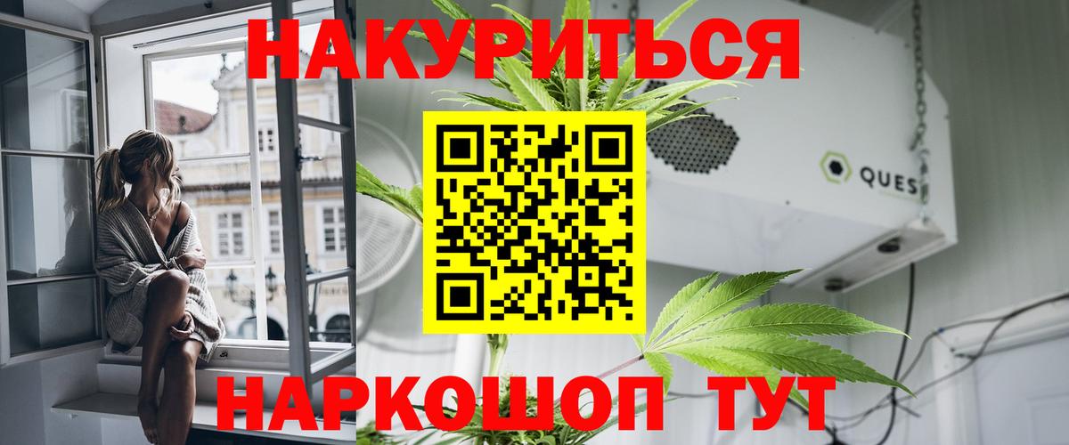Конопля MAZAR Сосновый Бор